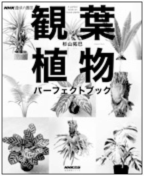 NHK出版観葉植物パーフェクトブック